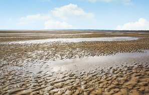 Beach nearby - Gorgeous apartment in Schiermonnikoog (Schiermonnikoog)