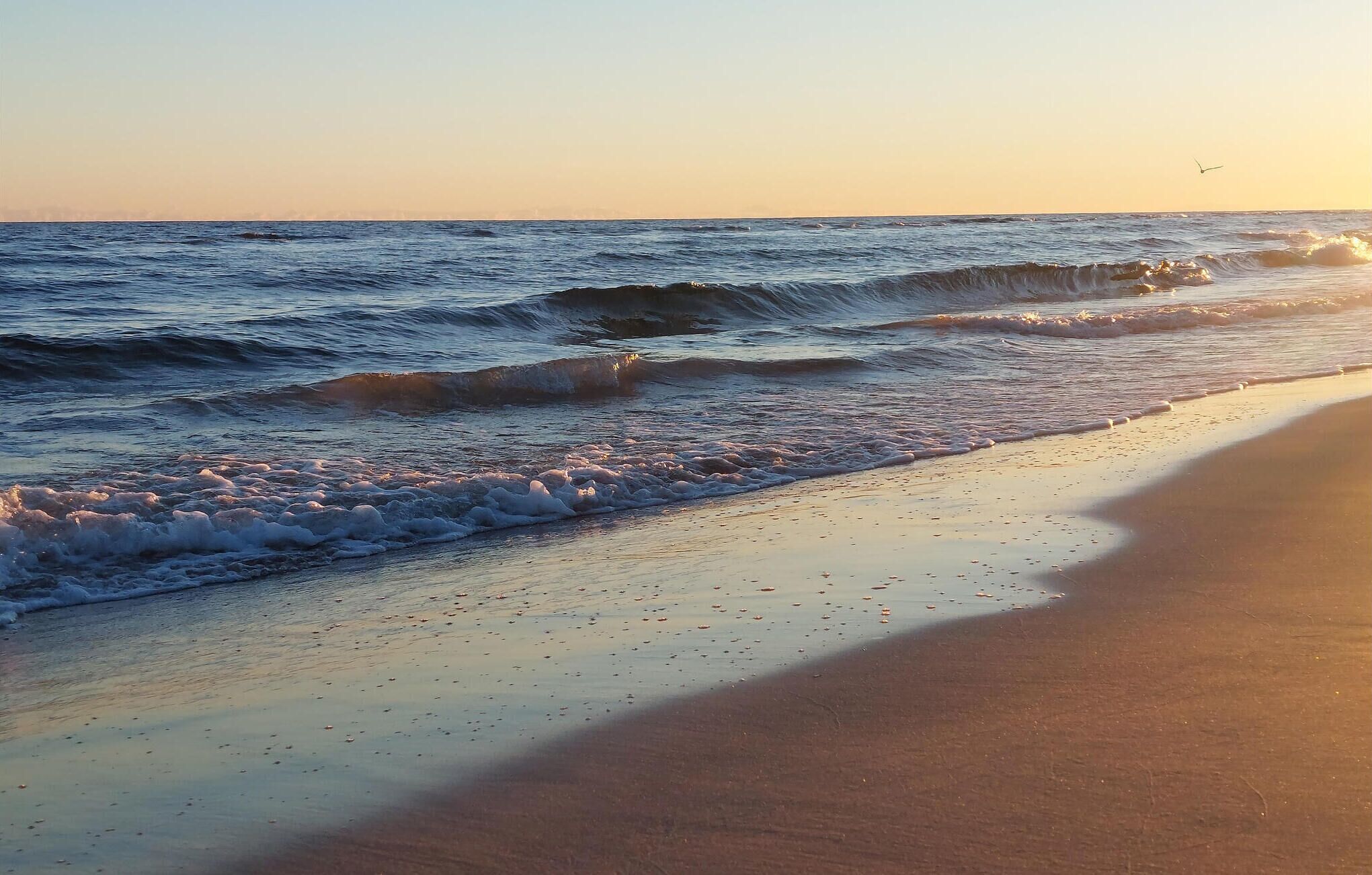 Beach nearby, fishing