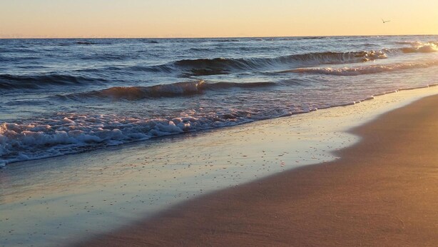 A beach with waves gently lapping onto the shore, a clear sky, and a distant horizon. - 1 bedroom beach front apartment in Darlówko (Darlówko)