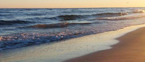 ビーチの近く、釣り