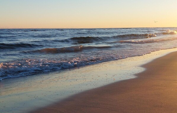 Ranta lähistöllä, kalastusmahdollisuus