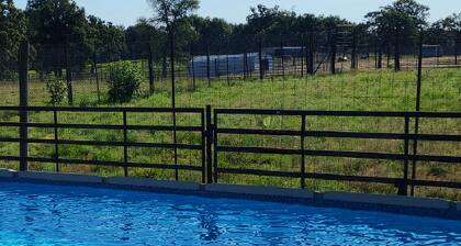 Eureka Springs Safari Park House, huge pool, Sleeps 11 on 4 acres