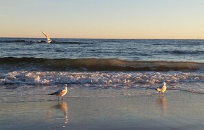 Beach nearby, fishing