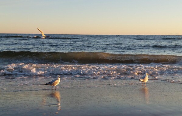 Beach nearby, fishing