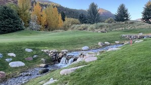 A grassy area with a small stream, surrounded by trees and a clear sky. - Winter getaway outside of Durango-  The perfect spot between Purgatory and town! (Durango)
