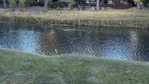 A house with a deck overlooking a pond, surrounded by trees with autumn foliage. - Winter getaway outside of Durango-  The perfect spot between Purgatory and town! (Durango)