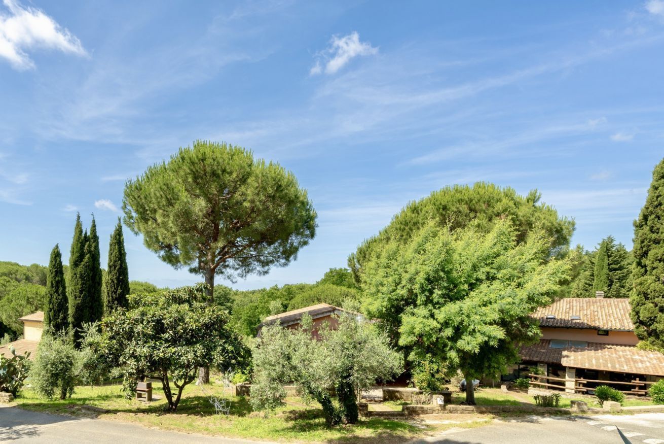 A rural setting with a house surrounded by trees and a clear sky.