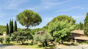 A rural setting with a house surrounded by trees and a clear sky. - Two-room apartment for 4 people, 36 m2, consisting of:Living area with kitchenette (4 burners) and 2 single beds, double bedroom,bathroom with shower, covered terrace equipped with table, chairs and two deck chairs. (Guardistallo)