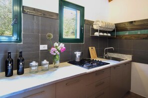 Fridge, stovetop, coffee/tea maker