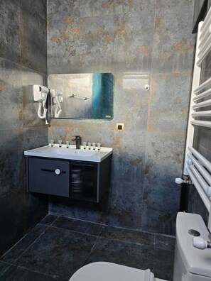 Sèche-cheveux, serviettes fournies, papier toilette