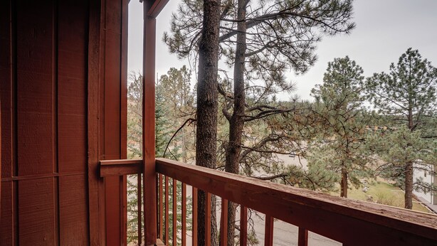 A wooden balcony with a view of tall pine trees and a road.
