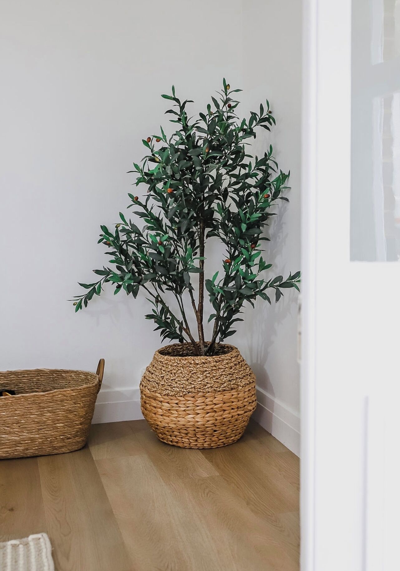 Een hoek van een kamer met een gevlochten mand en een potplant.