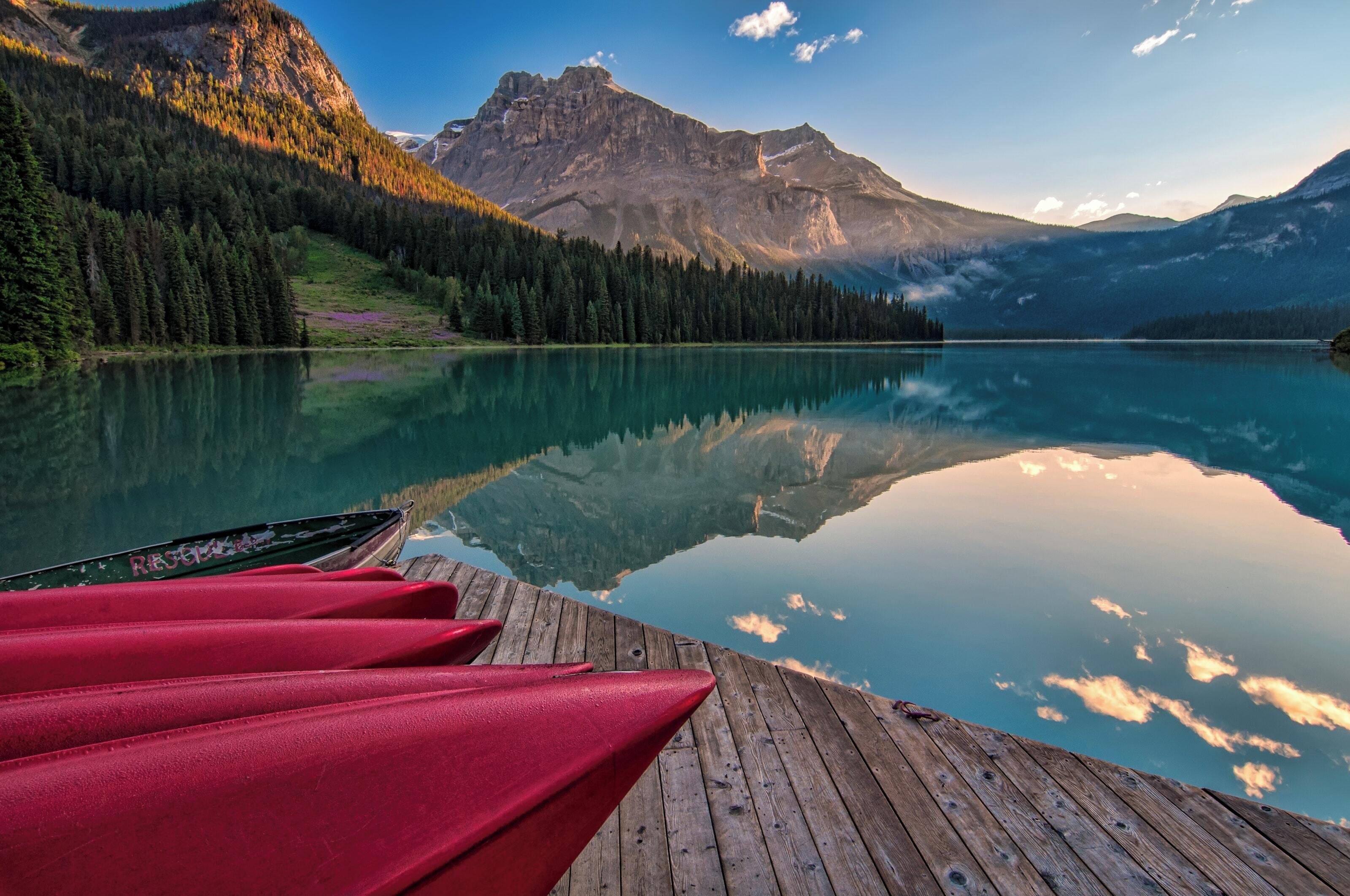 Provide more sustainable and Eco-friendly travel!!