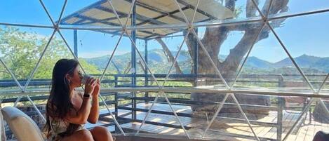 Pillow-top beds, in-room safe, individually decorated