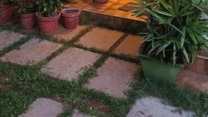 Une cour avec des plantes en pot, une porte en bois et une petite fenêtre.