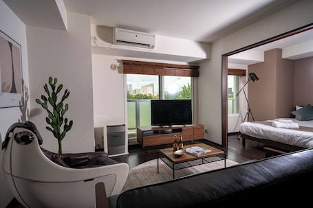 Living area. FANCY2