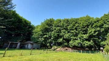 Taman