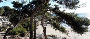 Un Chalet sur la Côte Bleue