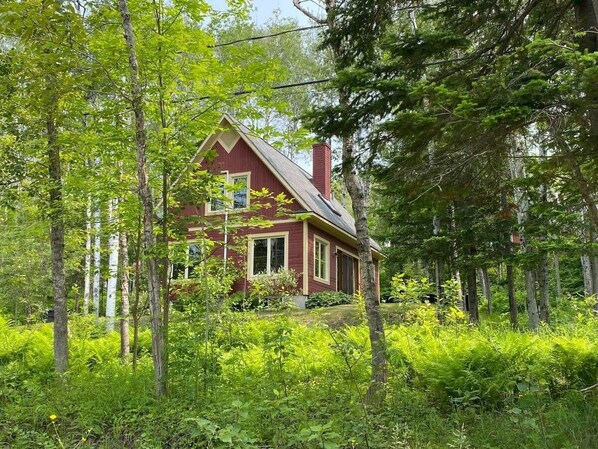 Una cabaña roja rodeada de un bosque frondoso.