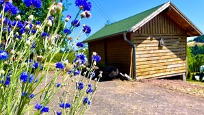 A wooden cabin with a green roof, surrounded by a gravel path and vibrant blue flowers.