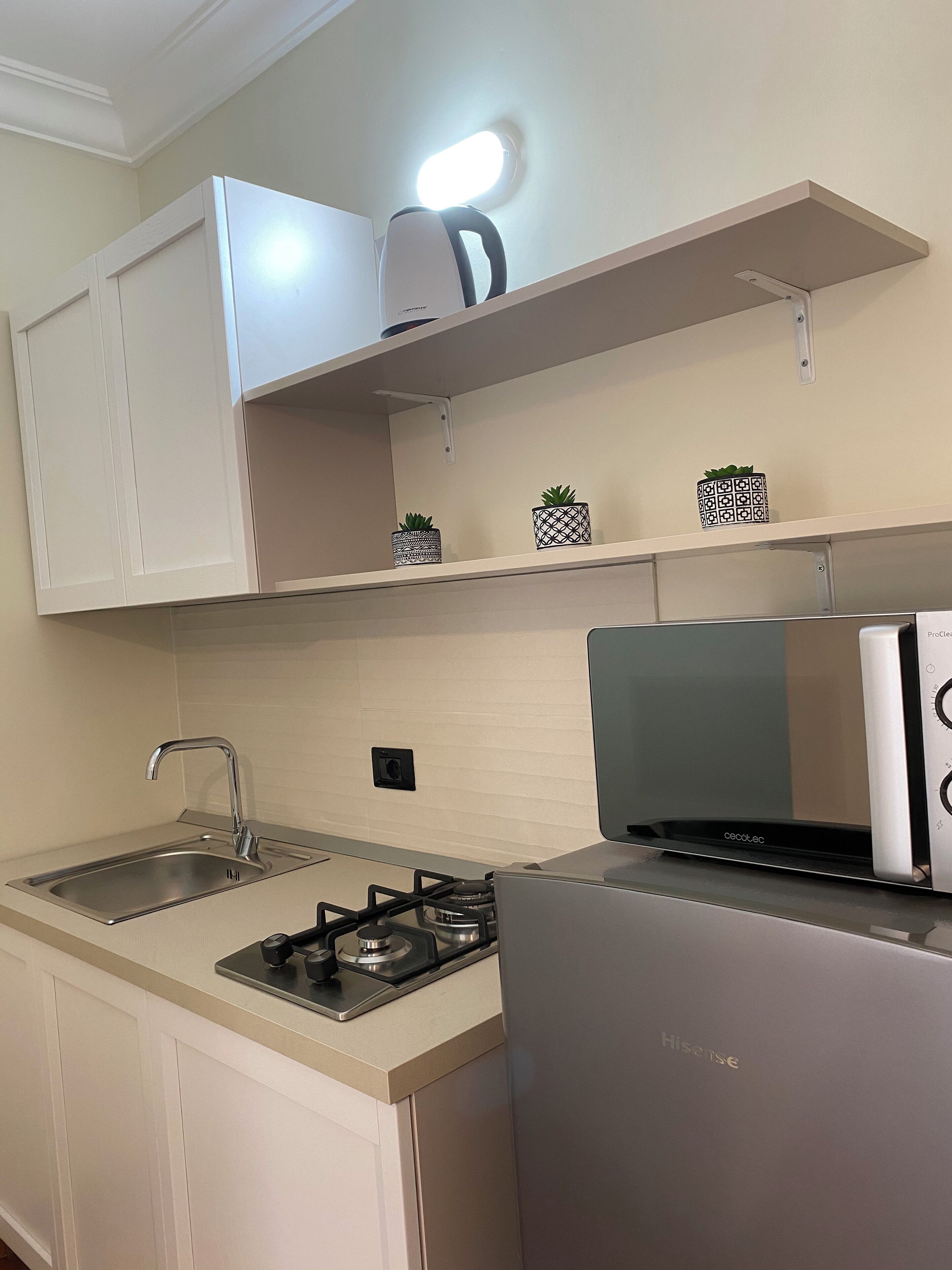 Deluxe Suite, 1 Queen Bed | Private kitchen | Full-size fridge, microwave, stovetop, electric kettle