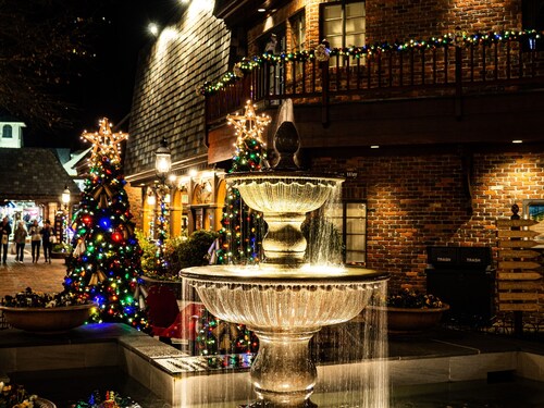 Walk to Gatlinburg! Save Huge on Attractions