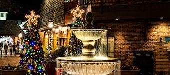 Walk to Gatlinburg! Save Huge on Attractions