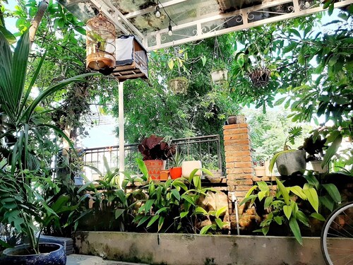 mottainai hoi an’s room in the central