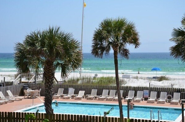 Relax by the oceanfront pool surrounded by palm trees and lounge chairs.