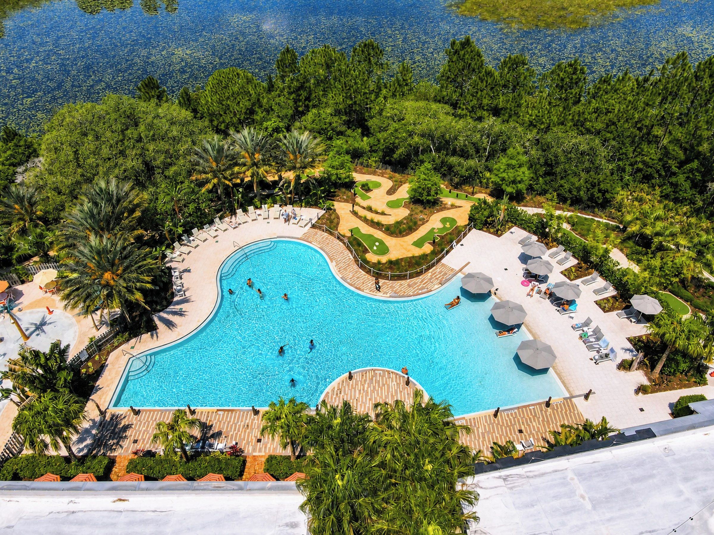 A large swimming pool surrounded by palm trees and lounge chairs.