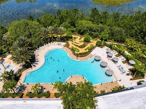 A large swimming pool surrounded by palm trees and lounge chairs.