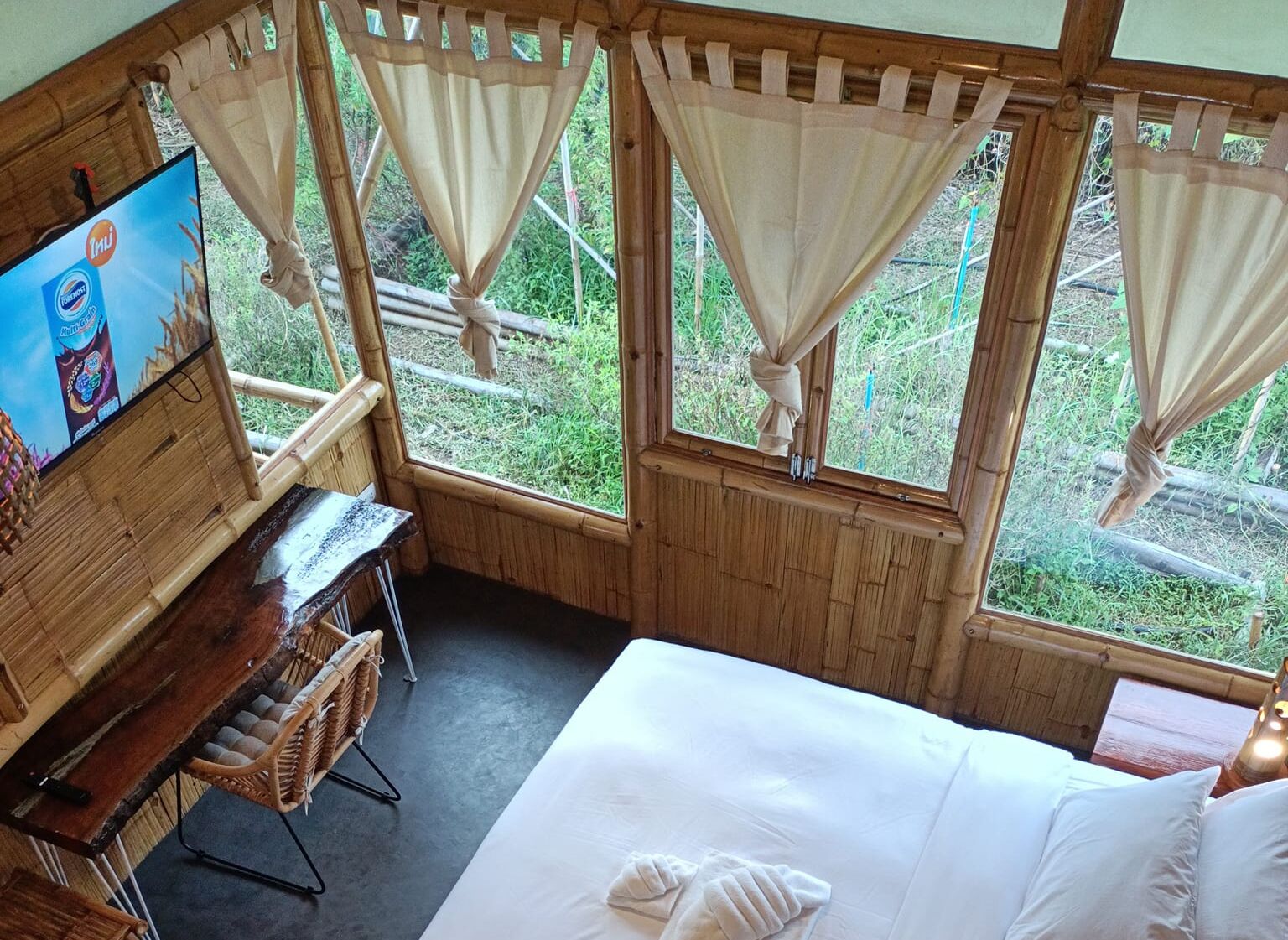 A room with a bed, a TV, and windows with curtains.