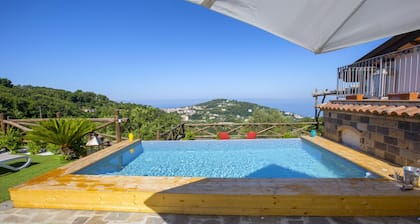 AMORE RENTALS - Sorrento Gardens House with Pool, Sauna, Sea View