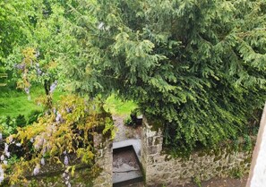 Una estructura de piedra con una pequeña abertura, rodeada de abundante vegetación y árboles.