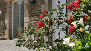 A stone building with a door and windows, surrounded by rose bushes with red and white flowers.