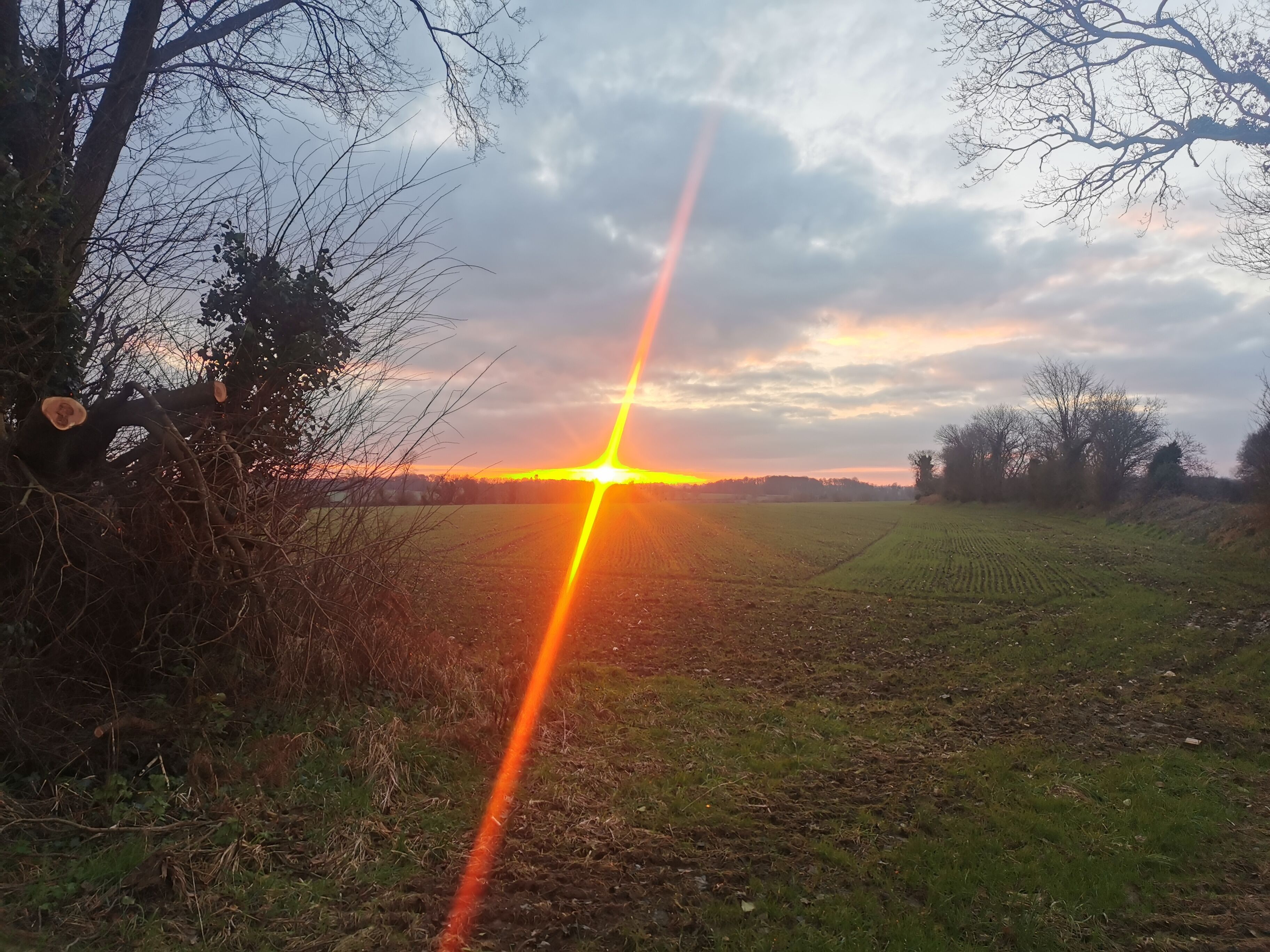 Un atardecer sobre un paisaje rural con cielo despejado, campos y árboles.