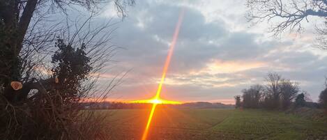 Un atardecer sobre un paisaje rural con cielo despejado, campos y árboles.