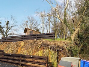 صورة غير مصنفة، 4 من 14، زرّ