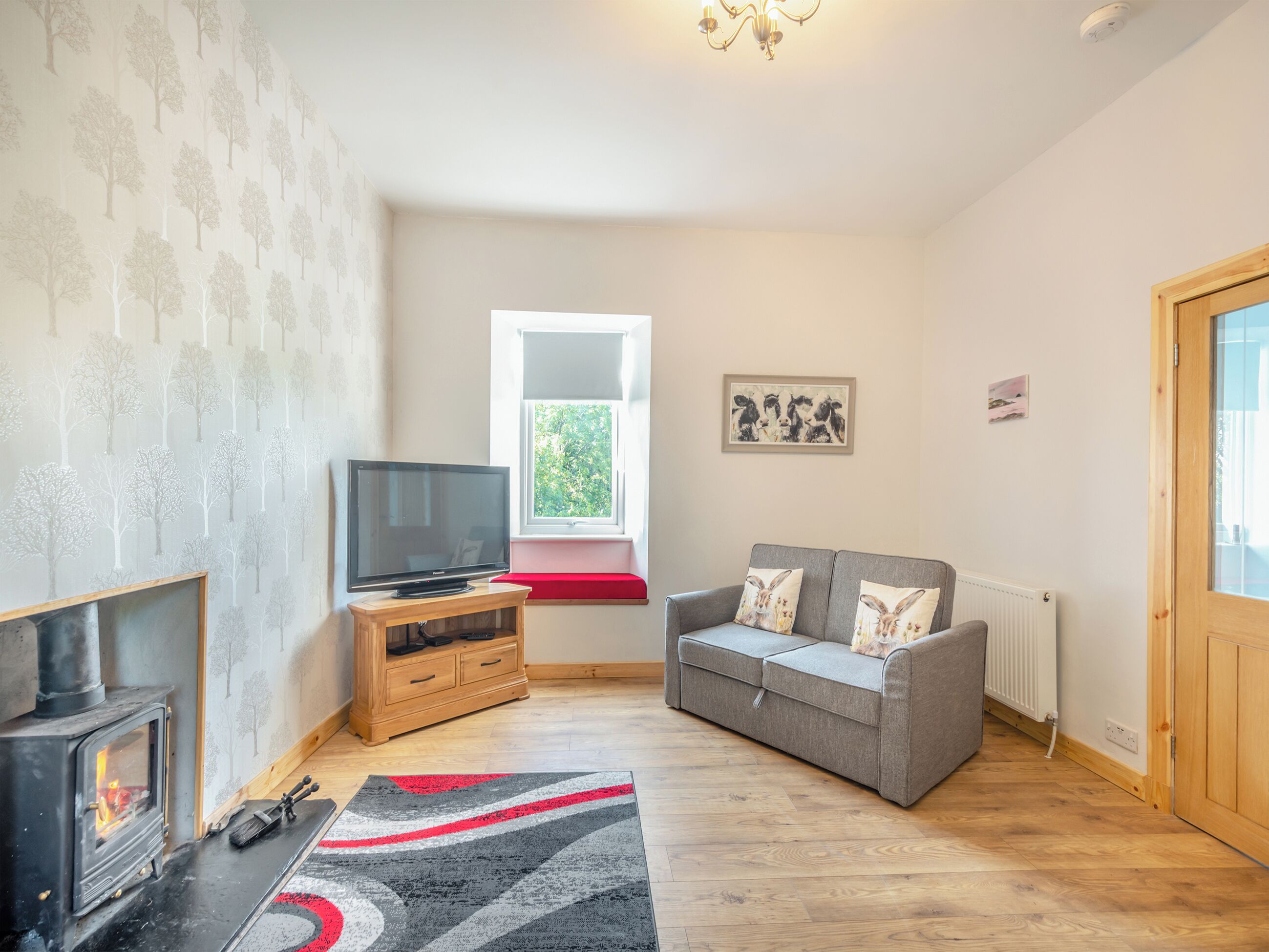 TV, fireplace