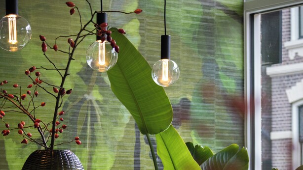 A reception desk with a large green plant, a vase with red berries, and hanging pendant lights. - Hotel de Koppelpaarden (Lichtenvoorde)
