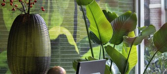 Hotel de Koppelpaarden