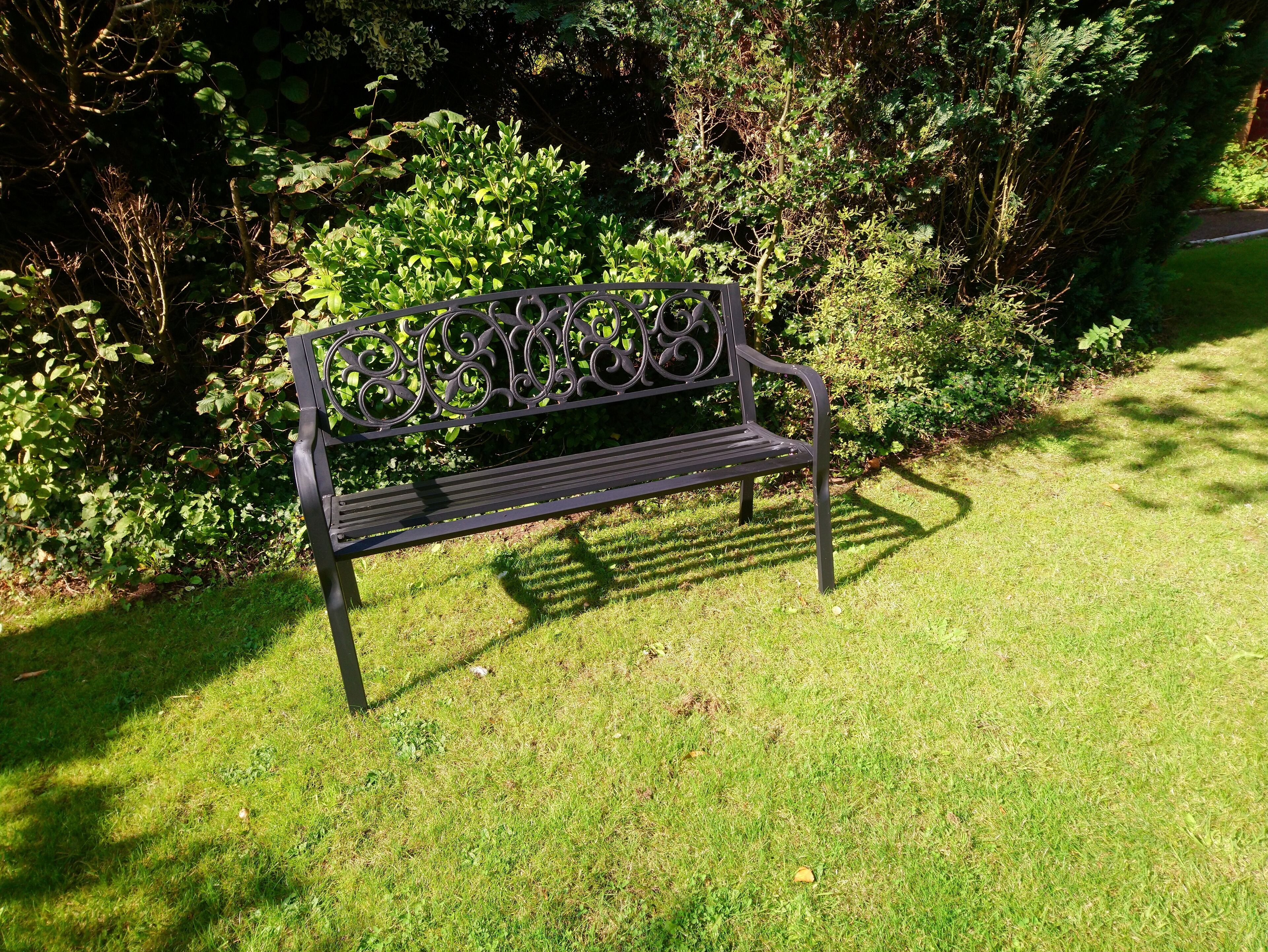 A bench in a grassy area with dense foliage in the background.