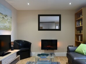 Télévision, cheminée, lecteur de DVD, livres