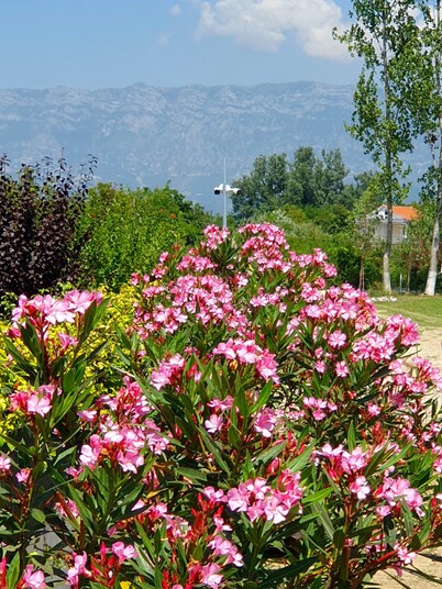 Nerium Garden Inn Tirana Airport