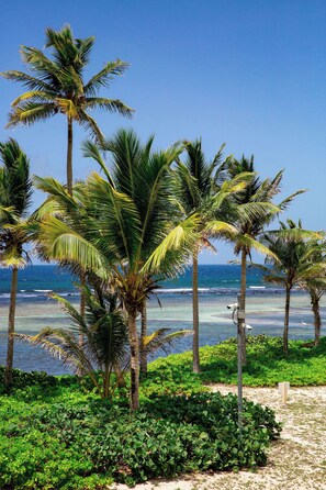 A beach with palm trees and clear blue sky. - 
Treasure Trove BEACHFRONT 3 bed/3 bath condo with great views and prices! (St Croix)