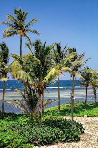 
Treasure Trove BEACHFRONT 3 bed/3 bath condo with great views and prices!