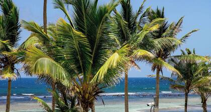 Treasure Trove BEACHFRONT 3 bed/3 bath condo with great views and prices!