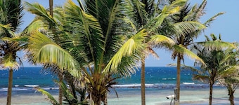 Treasure Trove BEACHFRONT 3 bed/3 bath condo with great views and prices!