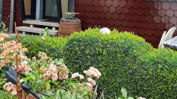 Ein Haus mit einem einzigartigen Ziegeldach, einer kleinen Veranda und einem gepflegten Garten mit rosa Blumen.