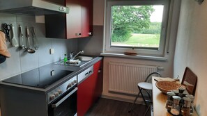 Kühlschrank, Mikrowelle, Herdplatte, Geschirrspüler